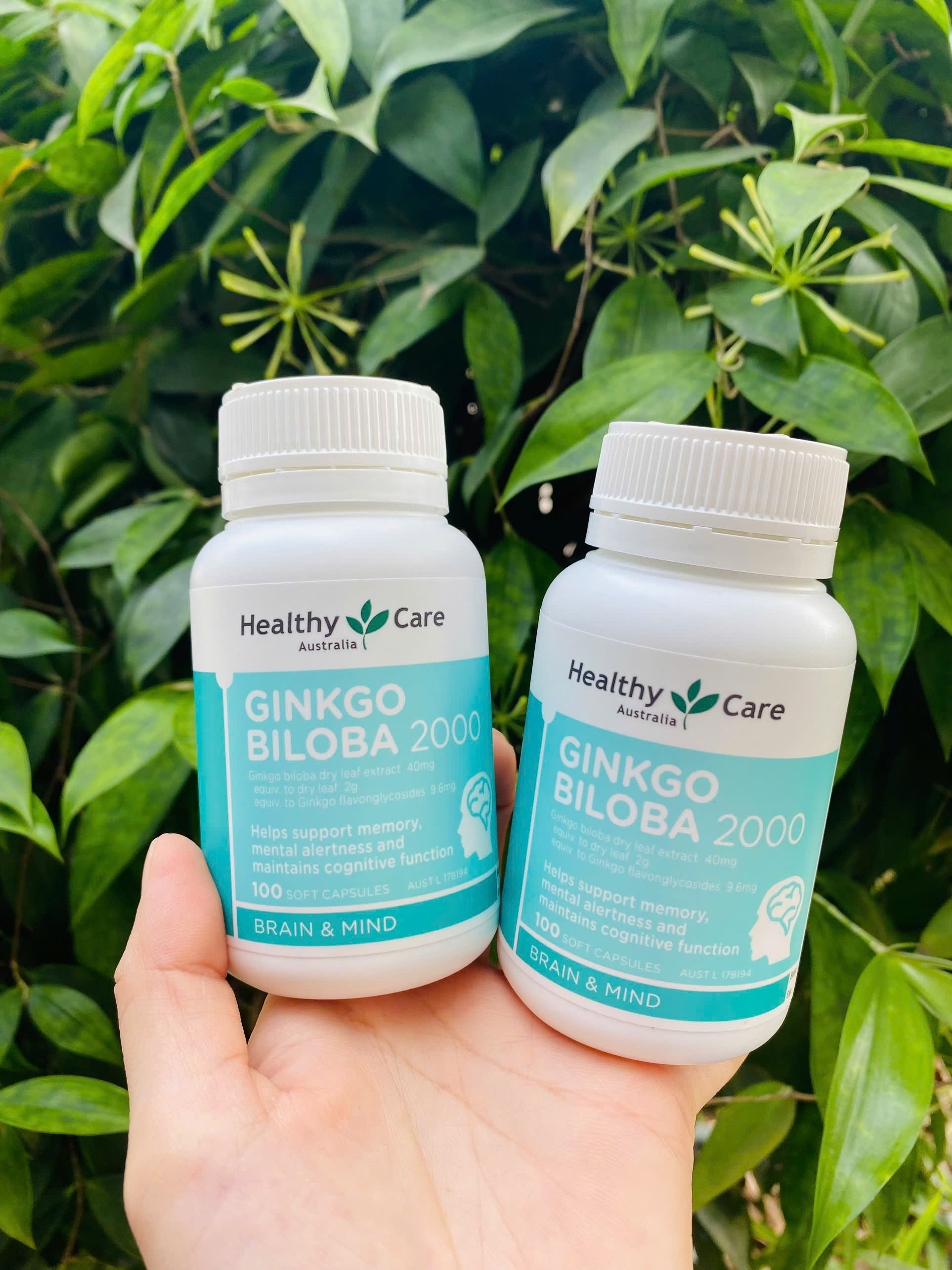 Bổ não Ginkgo Biloba 2000 Healthy Care Úc (lọ 100 viên)